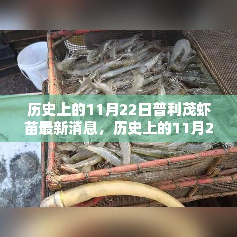 普利茂虾苗最新消息揭秘，历史上的11月22日动态回顾