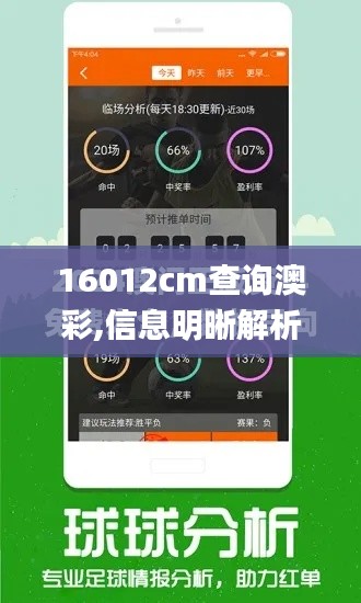 16012cm查询澳彩,信息明晰解析导向_VR版XPW1.1