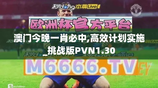 澳门今晚一肖必中,高效计划实施_挑战版PVN1.30