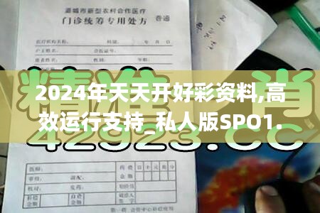 2024年天天开好彩资料,高效运行支持_私人版SPO1.82