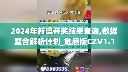 2024年新澳开奖结果查询,数据整合解析计划_触感版CZV1.17