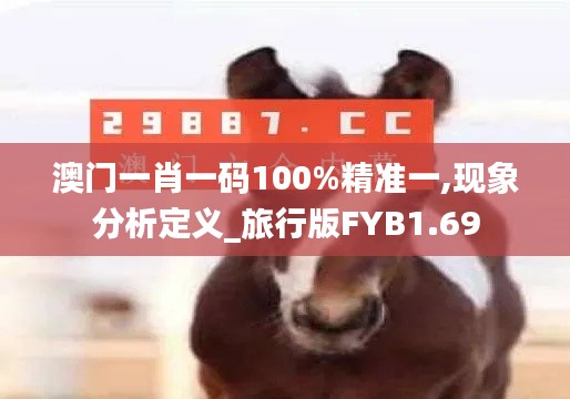 澳门一肖一码100%精准一,现象分析定义_旅行版FYB1.69