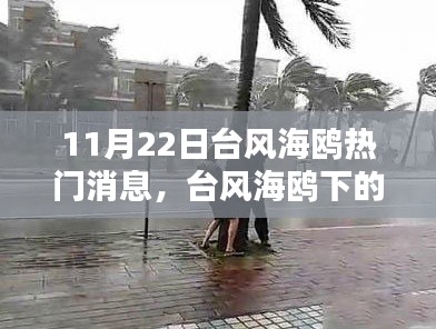 台风海鸥来袭，温馨日常与风雨中的友情时光