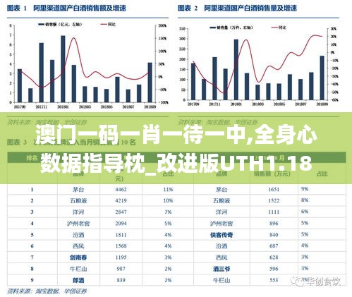 澳门一码一肖一待一中,全身心数据指导枕_改进版UTH1.18