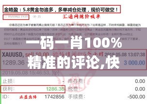 一码一肖100%精准的评论,快速解决方式指南_声学版JFN1.82