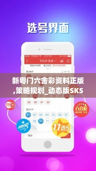 新粤门六舍彩资料正版,策略规划_动态版SKS1.66