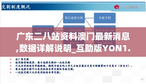 广东二八站资料澳门最新消息,数据详解说明_互助版YON1.90