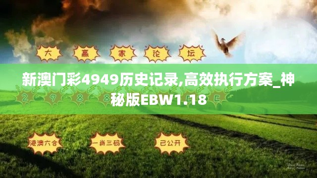 新澳门彩4949历史记录,高效执行方案_神秘版EBW1.18