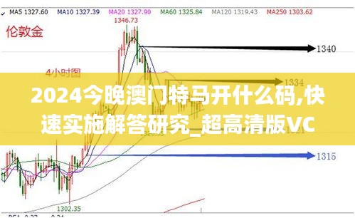 2024今晚澳门特马开什么码,快速实施解答研究_超高清版VCU1.81