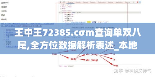 王中王72385.cσm查询单双八尾,全方位数据解析表述_本地版QZJ1.55