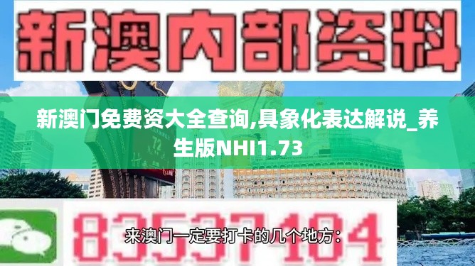 新澳门免费资大全查询,具象化表达解说_养生版NHI1.73