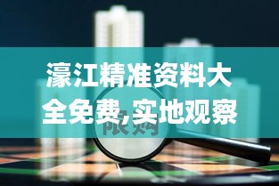 濠江精准资料大全免费,实地观察数据设计_激励版UIM1.69