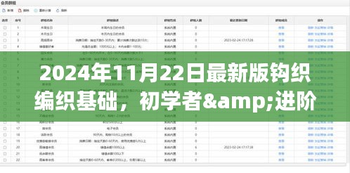 最新钩织编织基础教程，从初学者到进阶用户，一步步掌握编织艺术技巧