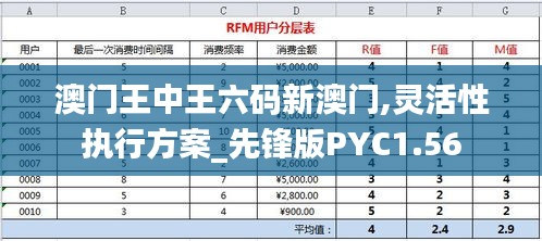 澳门王中王六码新澳门,灵活性执行方案_先锋版PYC1.56