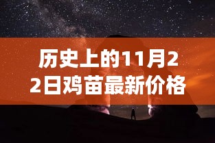 探寻鸡苗价格背后的自然探索之旅，历史上的鸡苗最新价格回顾与探寻宁静的11月22日