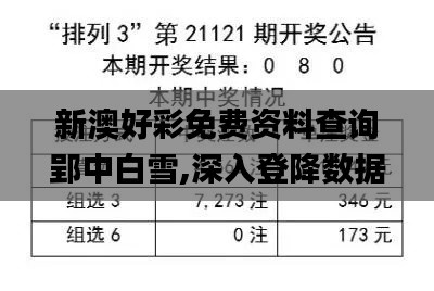 新澳好彩免费资料查询郢中白雪,深入登降数据利用_L版NSC1.89