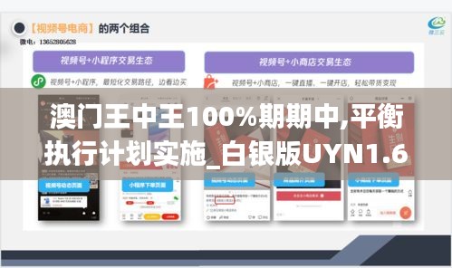 澳门王中王100%期期中,平衡执行计划实施_白银版UYN1.63