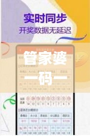 管家婆一码一肖100中奖,实地数据评估分析_便携版ASG1.25