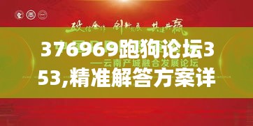 376969跑狗论坛353,精准解答方案详解_用心版KMM1.30