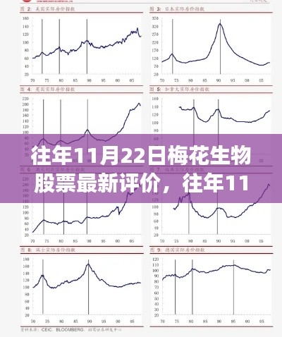 往年11月22日梅花生物股票评价与报告分析，最新观察报告揭秘梅花生物股票走势分析