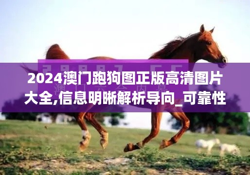 2024澳门跑狗图正版高清图片大全,信息明晰解析导向_可靠性版QFC1.43