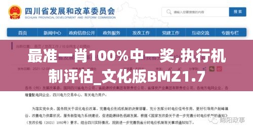 最准一肖100%中一奖,执行机制评估_文化版BMZ1.7