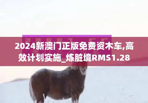 2024新澳门正版免费资木车,高效计划实施_炼脏境RMS1.28