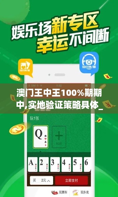 澳门王中王100%期期中,实地验证策略具体_黑科技版GEE1.87