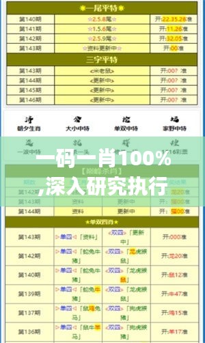 一码一肖100%,深入研究执行计划_户外版PMD1.24