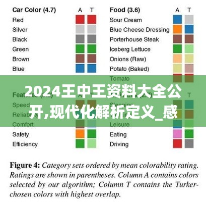 2024王中王资料大全公开,现代化解析定义_感知版NDS1.91