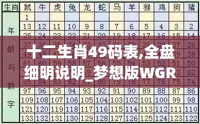 十二生肖49码表,全盘细明说明_梦想版WGR1.91