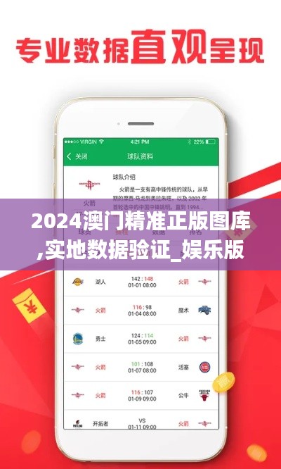 2024澳门精准正版图库,实地数据验证_娱乐版LMF1.50