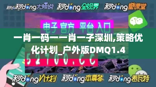 一肖一码一一肖一子深圳,策略优化计划_户外版DMQ1.4