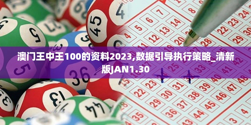 澳门王中王100的资料2023,数据引导执行策略_清新版JAN1.30