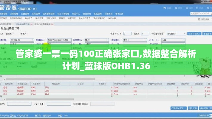 管家婆一票一码100正确张家口,数据整合解析计划_蓝球版OHB1.36