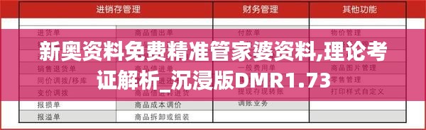 新奥资料免费精准管家婆资料,理论考证解析_沉浸版DMR1.73