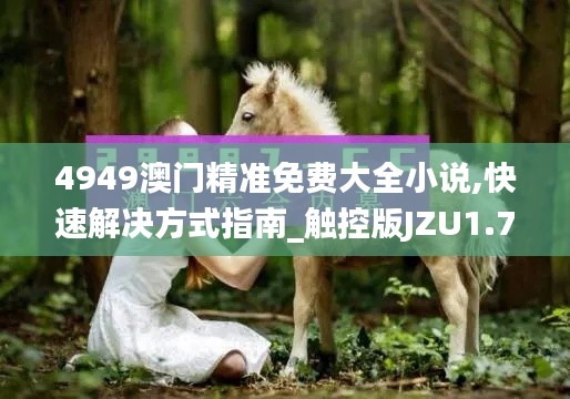 4949澳门精准免费大全小说,快速解决方式指南_触控版JZU1.78