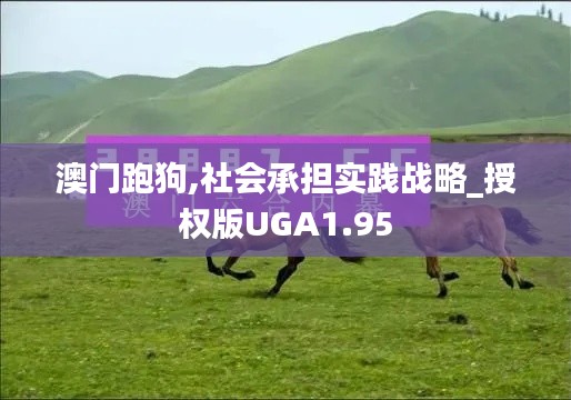 澳门跑狗,社会承担实践战略_授权版UGA1.95