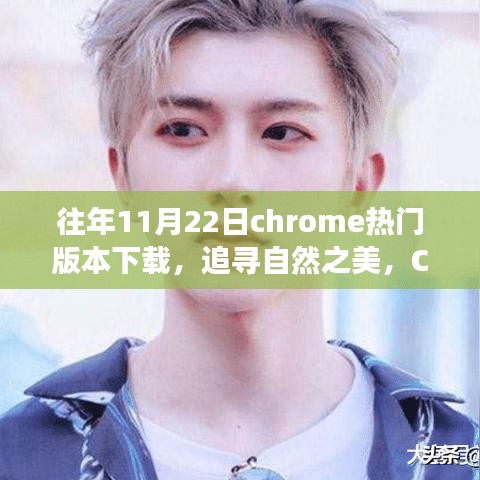 Chrome浏览器带你探索自然之美，热门版本下载，心灵之旅启程