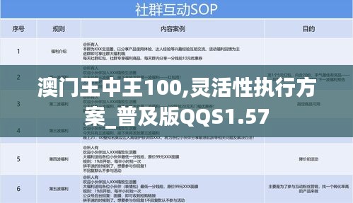 澳门王中王100,灵活性执行方案_普及版QQS1.57