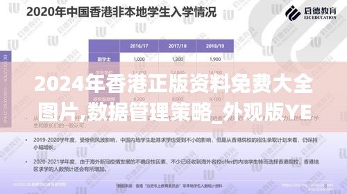 2024年香港正版资料免费大全图片,数据管理策略_外观版YET1.94