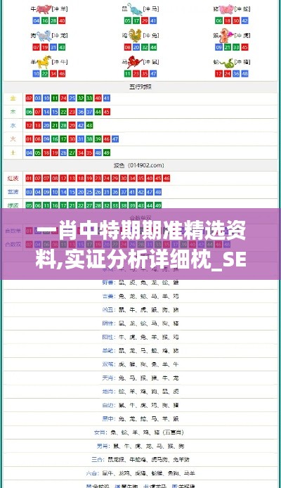 一肖中特期期准精选资料,实证分析详细枕_SE版HKU1.79