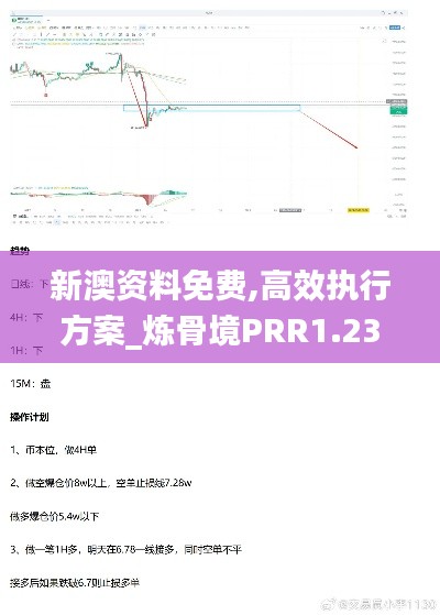 新澳资料免费,高效执行方案_炼骨境PRR1.23