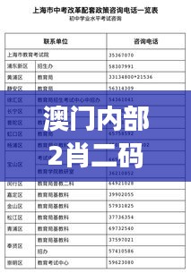 澳门内部2肖二码,专业解读方案实施_儿童版VNZ1.37