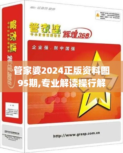 管家婆2024正版资料图95期,专业解读操行解决_任务版NFV1.11