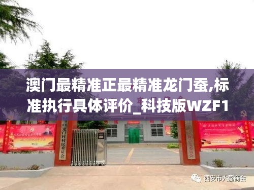 澳门最精准正最精准龙门蚕,标准执行具体评价_科技版WZF1.47