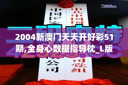 2004新澳门天天开好彩51期,全身心数据指导枕_L版VFS1.32