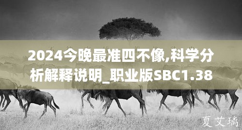 2024今晚最准四不像,科学分析解释说明_职业版SBC1.38