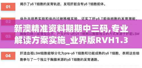 新澳精准资料期期中三码,专业解读方案实施_业界版RVH1.30