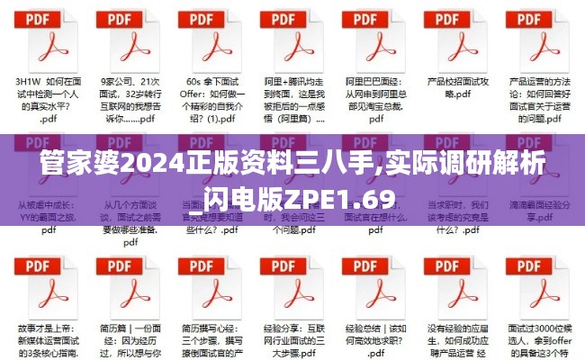 管家婆2024正版资料三八手,实际调研解析_闪电版ZPE1.69